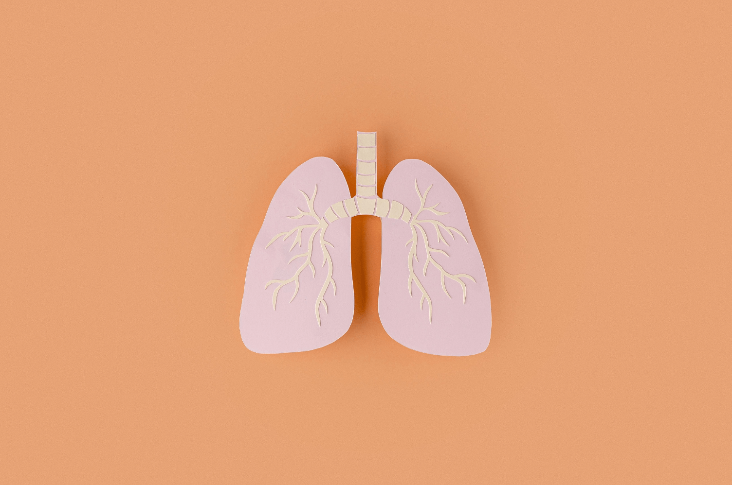 Bronchial asthma (BA), causes, symptoms - DAIGO Worldwide