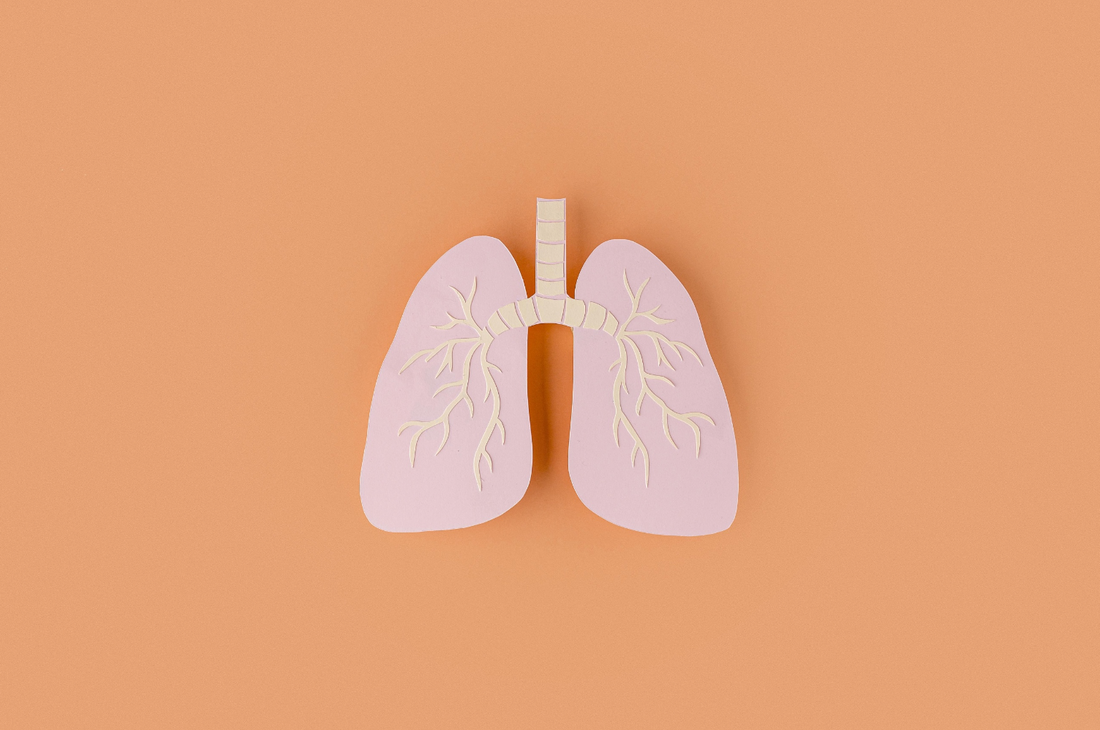 Bronchial asthma (BA), causes, symptoms