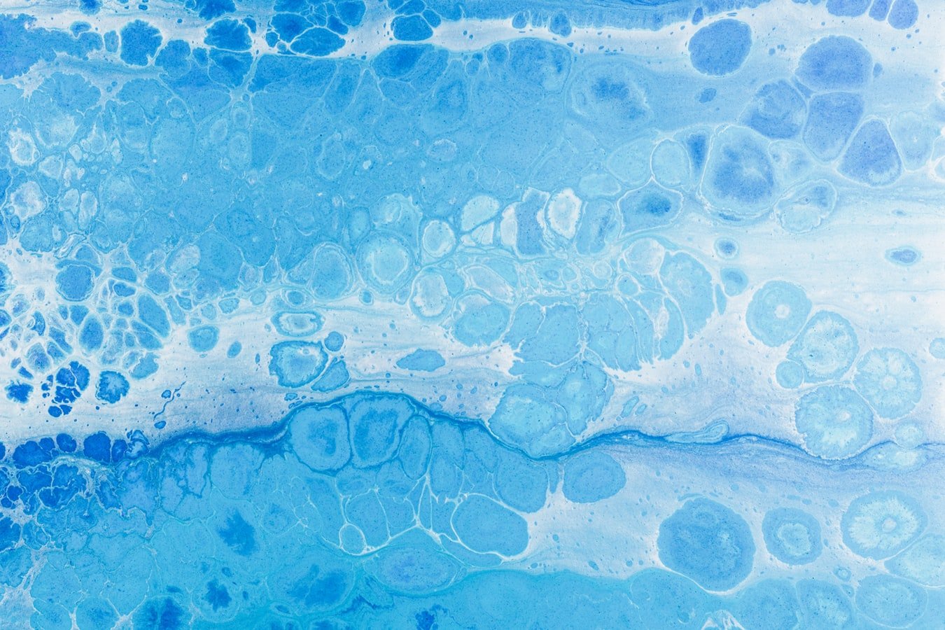 Suction. Nutrients such as sugars, amino acids and fatty acids are absorbed through the intestinal wall - DAIGO Worldwide