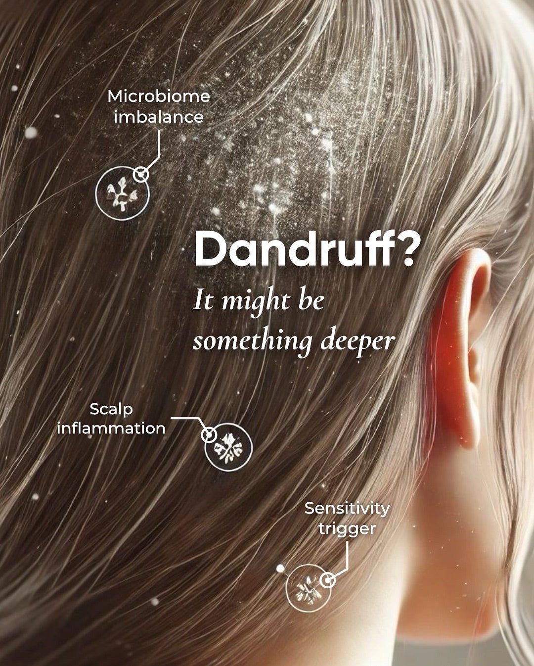 Daigo Shampoo Lux - DAIGO Worldwide