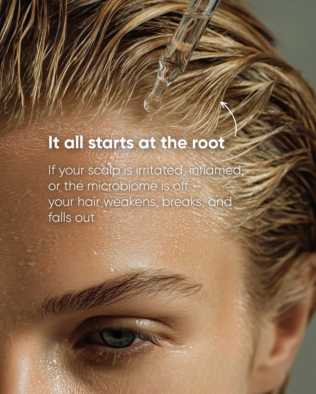 Daigo Shampoo Lux - DAIGO Worldwide